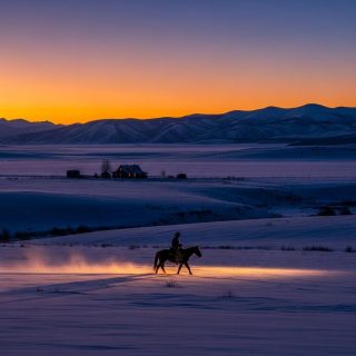 테일러 셰리던, 믿을 수 없는 창작 속도