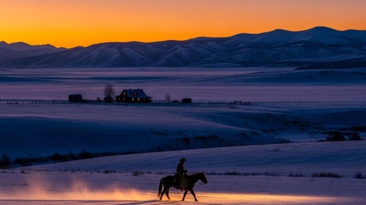 테일러 셰리던, 믿을 수 없는 창작 속도