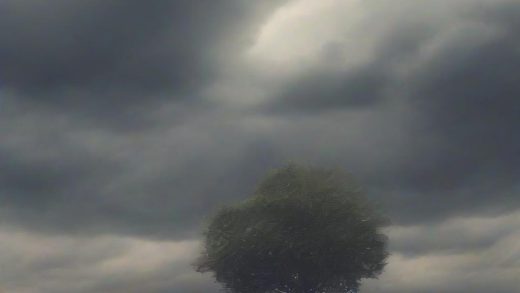 RHOC 시즌20, 그레첸 하차, 케이티 해고