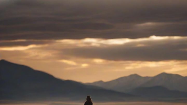 테일러 셰리든 '더 매디슨' 같은 최고 TV쇼 15편