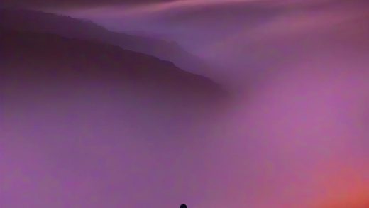 젠데이아 2026년 대활약 예고, 눈코 뜰 새 없는 스케줄