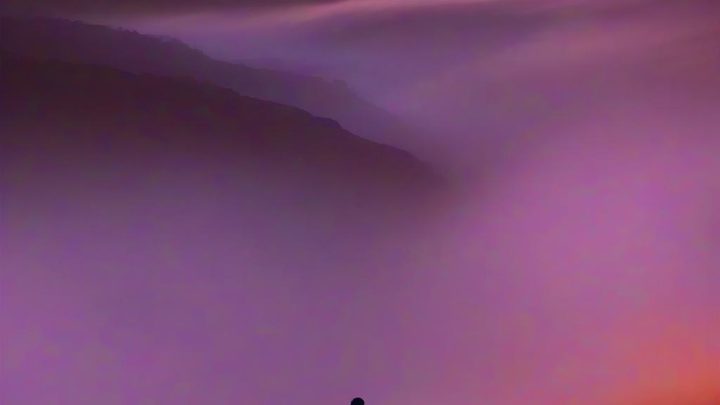 젠데이아 2026년 대활약 예고, 눈코 뜰 새 없는 스케줄