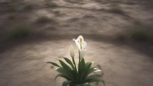 U2, 2026년 두 번째 EP '이스터 릴리' 발매